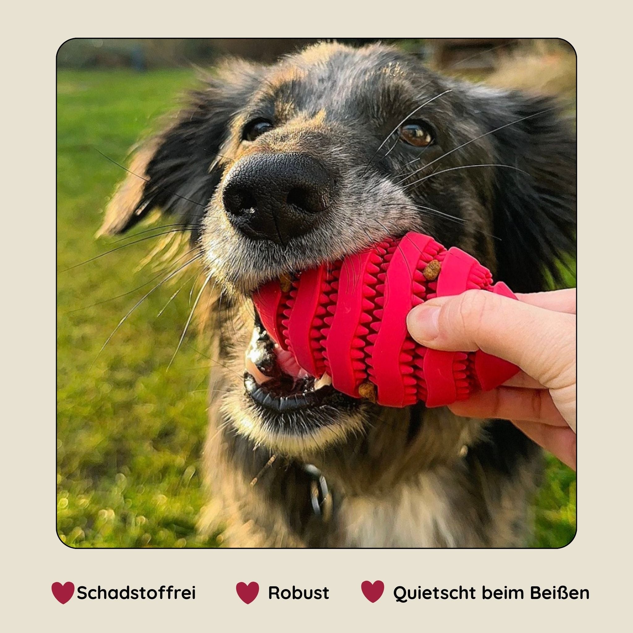 Snackball für Hunde aus Gummi – Beschäftigung & Zahnpflege – miba