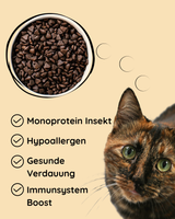 Insekt mit Süßkartoffel, Lachsöl & Chicorée