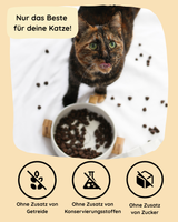 Insekt mit Süßkartoffel, Lachsöl & Chicorée