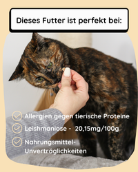 Insekt mit Süßkartoffel, Lachsöl & Chicorée