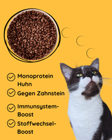 Huhn mit Kartoffel