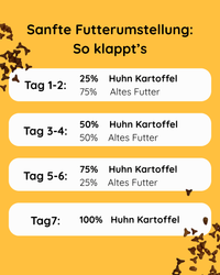 Huhn mit Kartoffel
