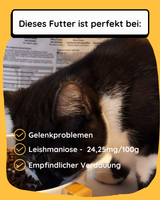 Huhn mit Kartoffel