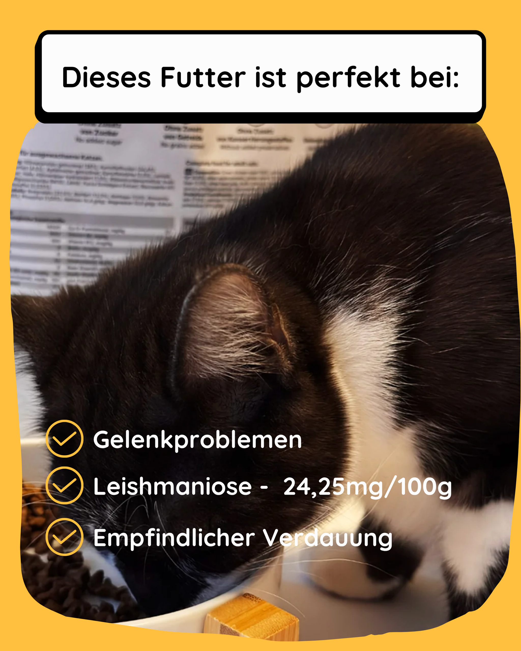 Huhn mit Kartoffel