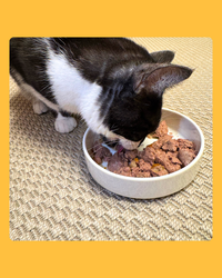 Huhn mit Landgemüse - 200g