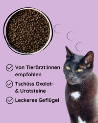 Diätfutter für Nieren & Leber