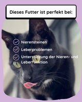 Diätfutter für Nieren & Leber