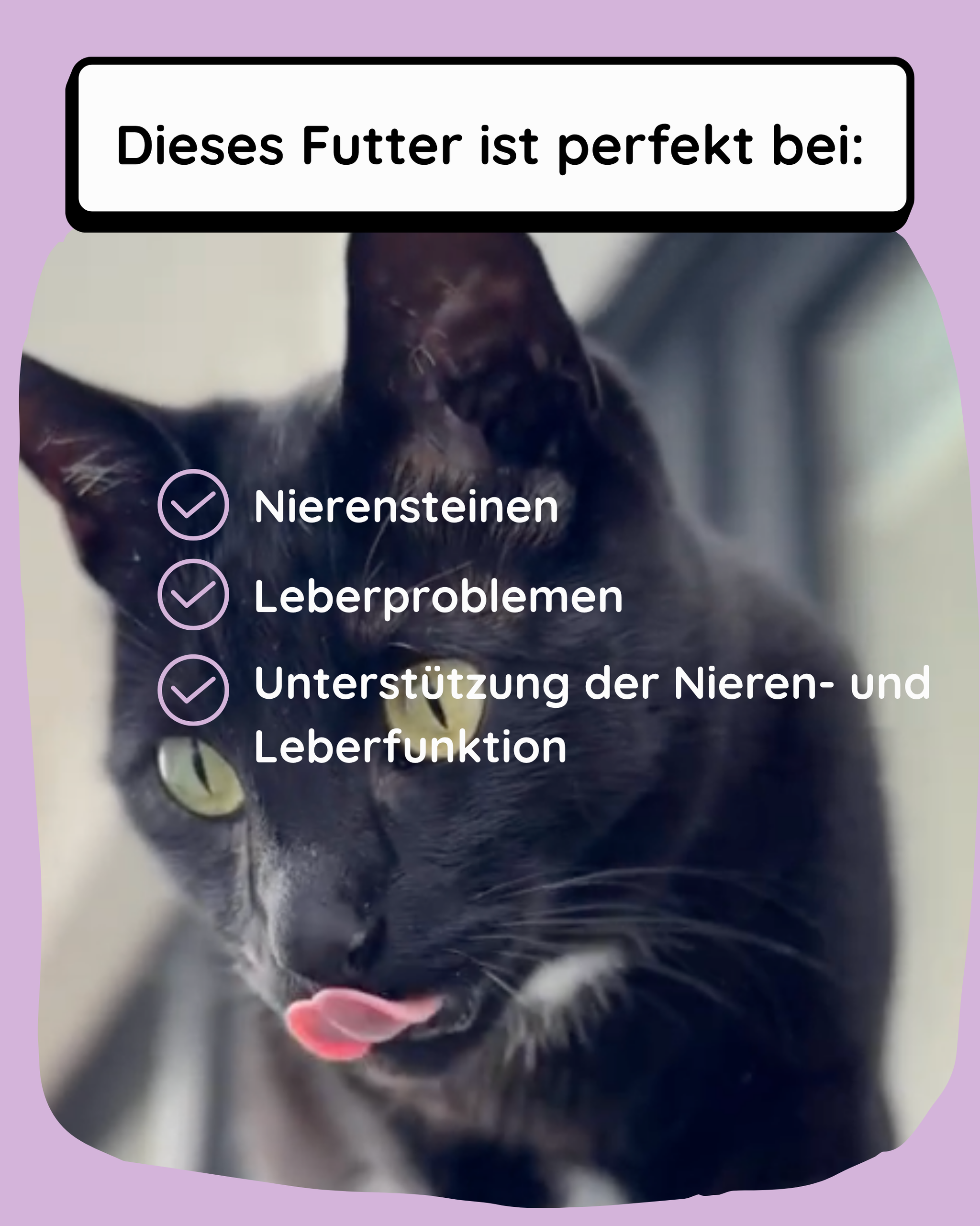 Diätfutter für Nieren & Leber