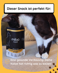 Knusprige Hühnerhäppchen mit Obst