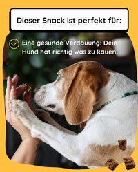 Knusprige Hühnerhappen mit Obst