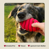 Snackball für Hunde aus Gummi – Intelligenzspielzeug & Futterball gegen Langeweile