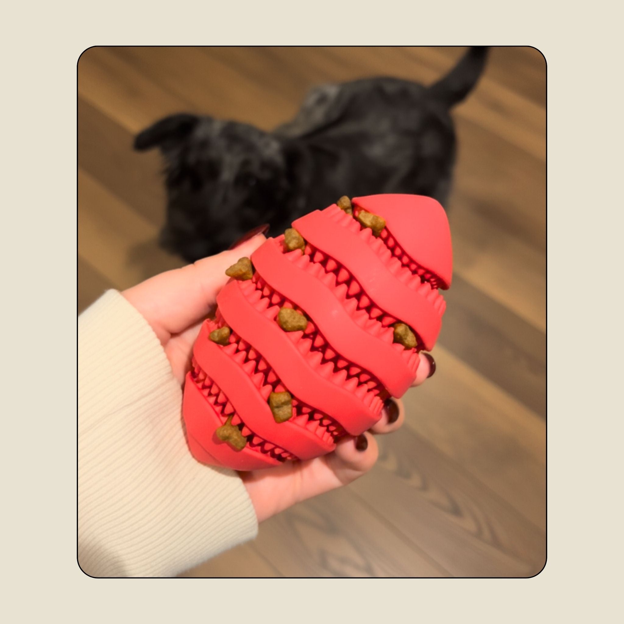 Snackball für Hunde aus Gummi – Intelligenzspielzeug & Futterball gegen Langeweile