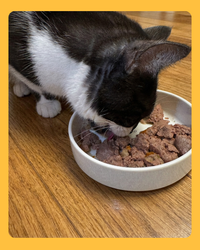 Chicken with country vegetables - 200g