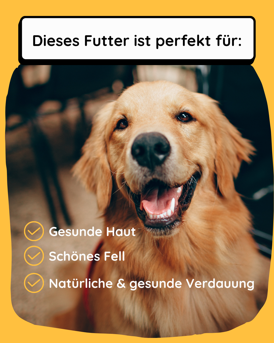 Huhn mit Landgemüse - 400g