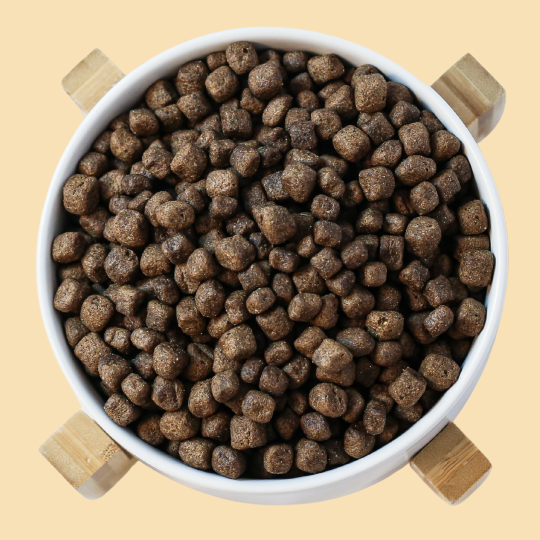 Insekt mit Süßkartoffel, Amaranth & Beeren