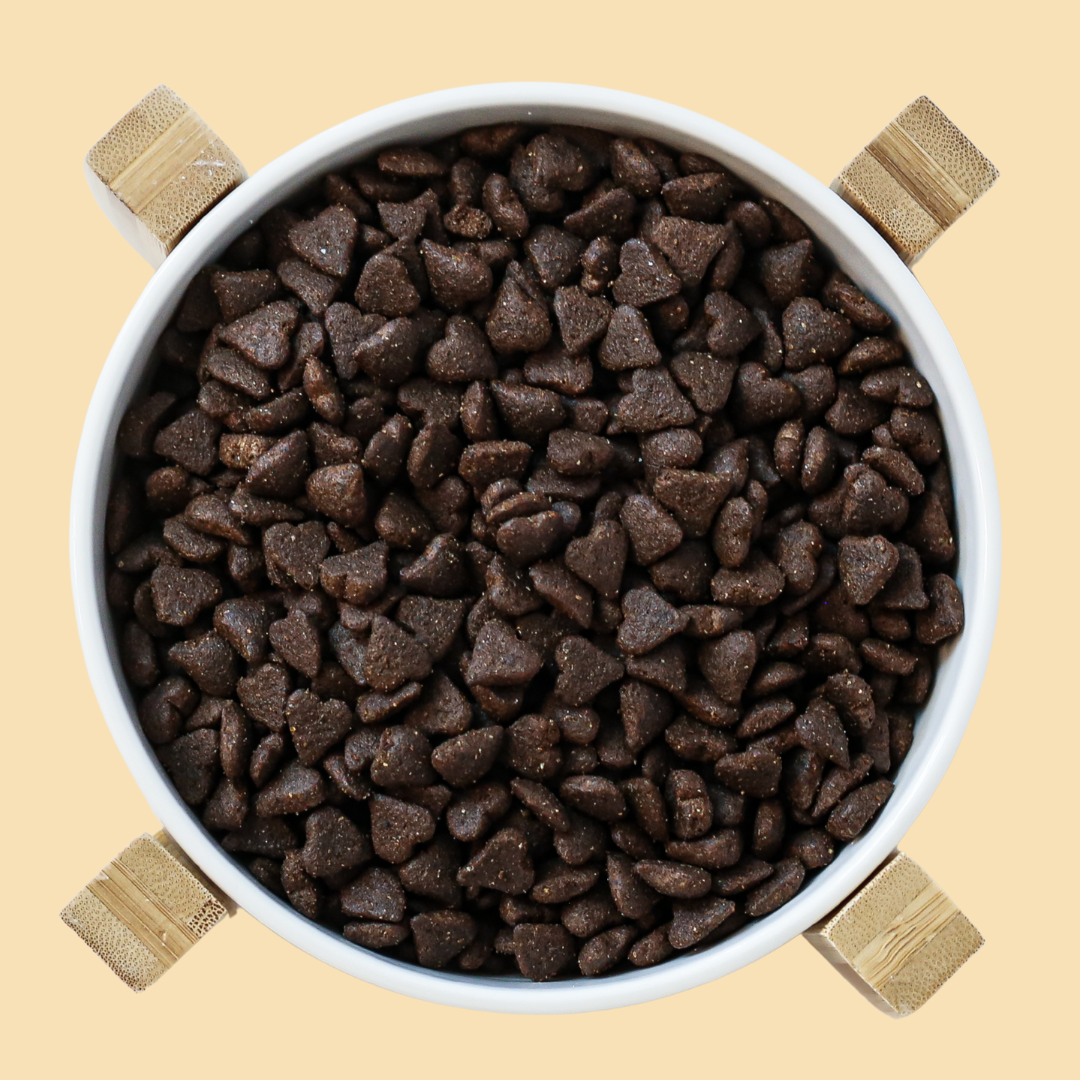 Insekt mit Süßkartoffel, Lachsöl & Chicorée