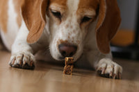 Crispy Chicken Bites with Fruit - Dog